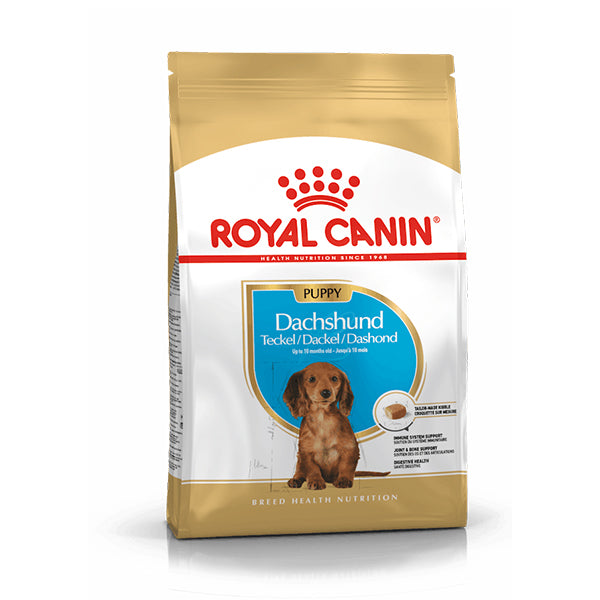 COMIDA PARA PERRO CACHORRO ROYAL DACHSHUND PUPPY