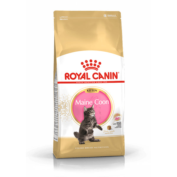 COMIDA PARA GATO CACHORRO ROYAL CANIN MAINE COON KITTEN