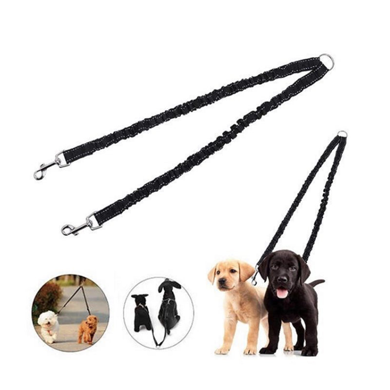 PiuPet® Correa para Perros I 3 Posiciones Ajustables I 2m de Largo I Correas  para Perros Grandes y pequeños I Correa multiposicion Perro I Correa Perro  (Verde) : : Productos para mascotas