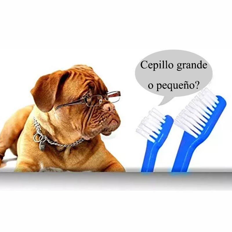 Cepillo de dientes para mascota