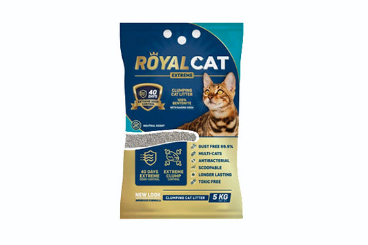 Royal Cat Arena para Gatos 10K