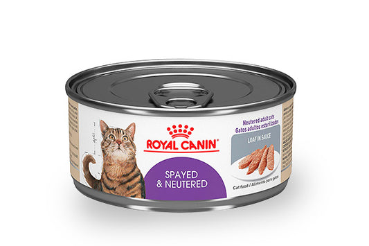 COMIDA HUMEDA PARA GATO ROYAL CANIN FHN SPAYED NEUTER WET