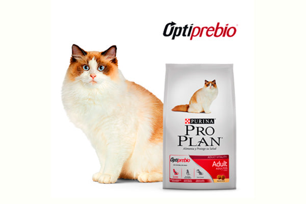 PRO PLAN Cat Adult