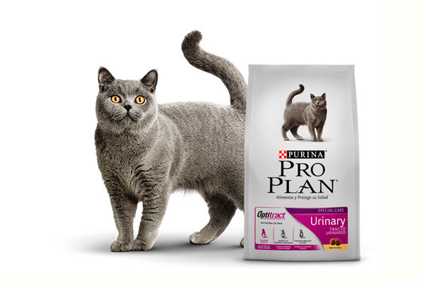 PRO PLAN Cat Urinary