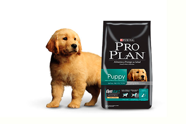 Pro plan puppy razas medianas
