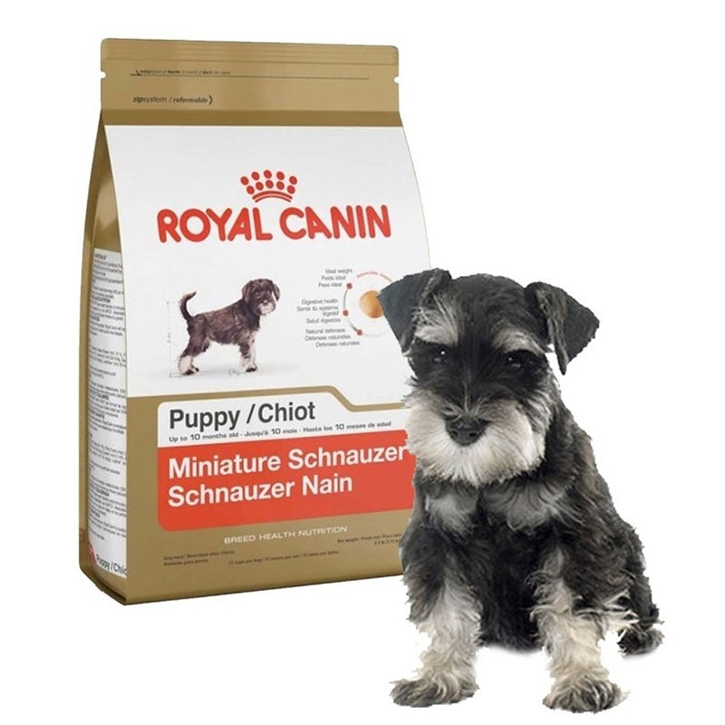 COMIDA PARA PERRO CACHORRO ROYAL CANIN MINI SCHNAUZER PUPPY