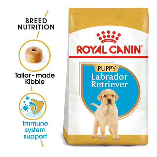 COMIDA PARA PERRO CACHORRO ROYAL CANIN LABRADOR PUPPY