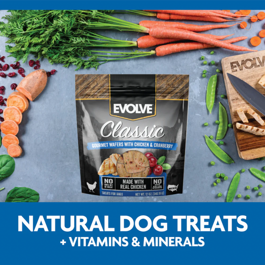 EVOLVE DOG SNACK WAFFERS CHICKEN