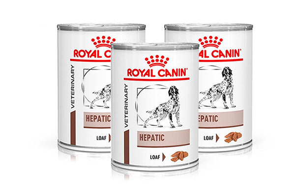 ROYAL CANIN VDC HEPATIC DOG WET X 24